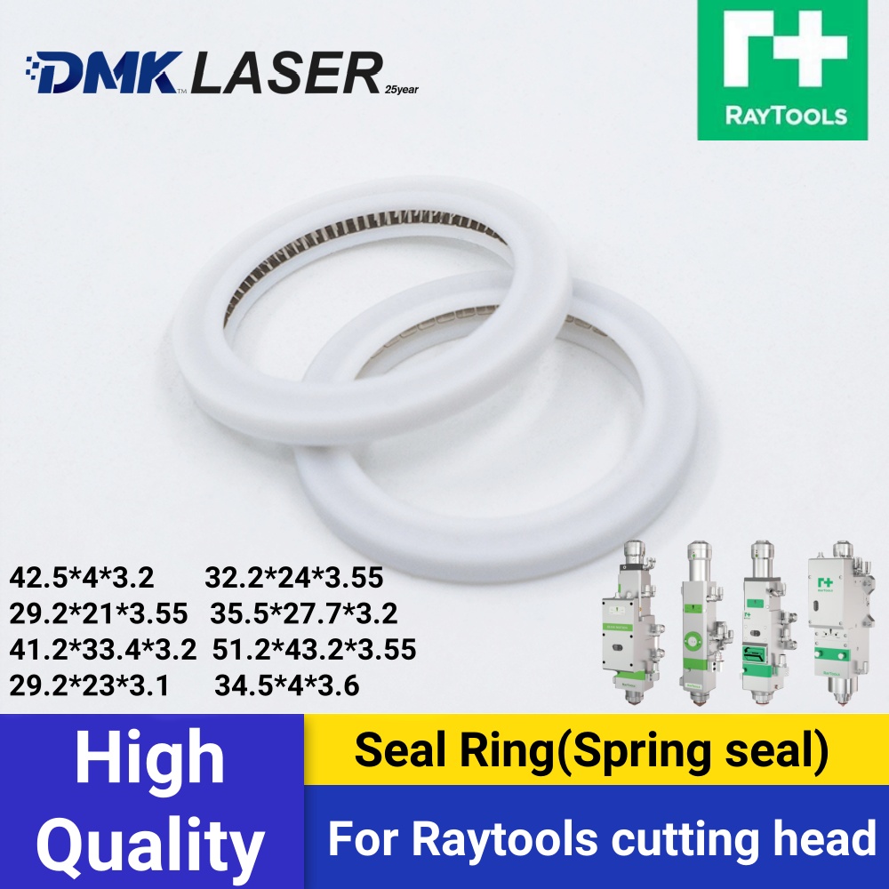 DMK Raytools OEM laser sealing - Power Tools Windows ulasan dan harga