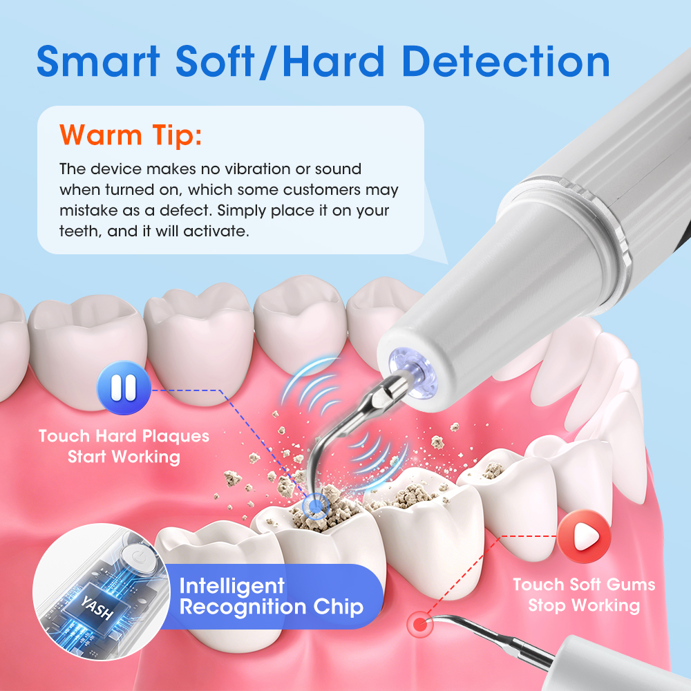 Electric Ultrasonic Dental Sca - Power Tools Total ulasan dan harga